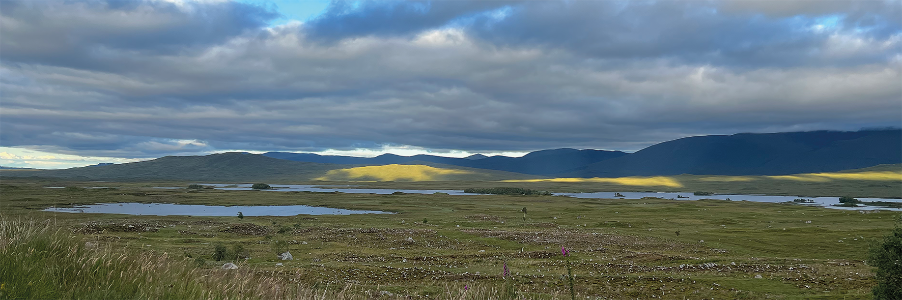 landschap in Schotland